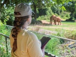 一名LR学生在北卡罗来纳动物园研究大象