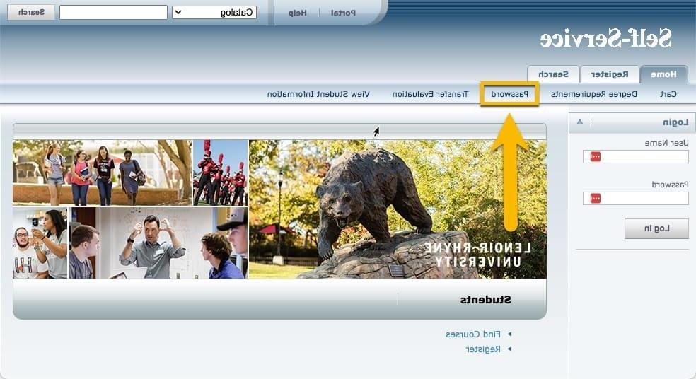 Screenshot of Self-Service homepage with the Password link highlighted